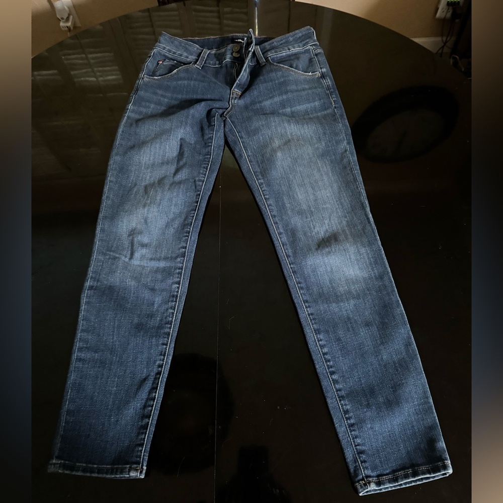 Hudson Collin Ankle Pants